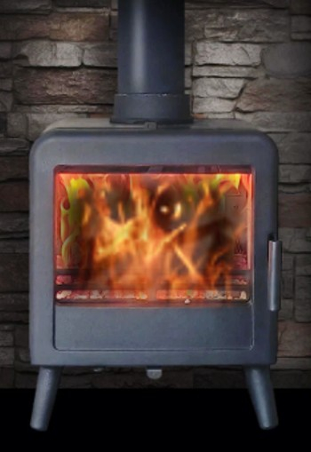 Ekol Bug Multifuel Stove
