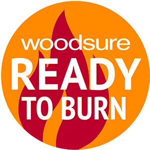 Ready to Burn Logo Ready to Burn Logo