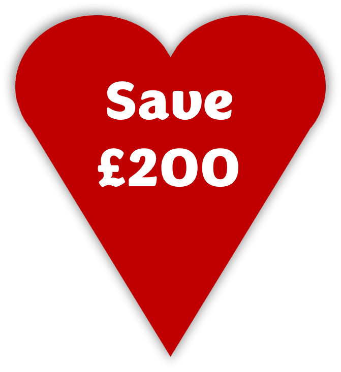 Fall in love with a logburner